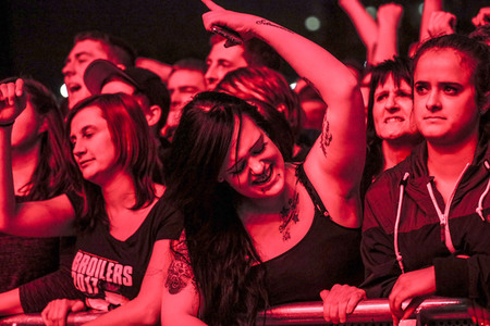Konzert der Broilers in Erfurt
