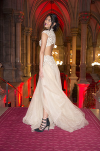 Filmball Vienna 2017 in Wien