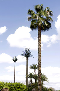 Sightseeing Marrakesch