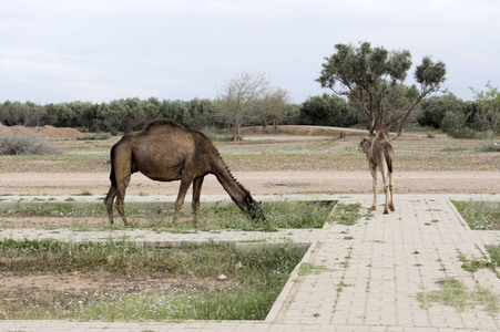 Sightseeing Marrakesch