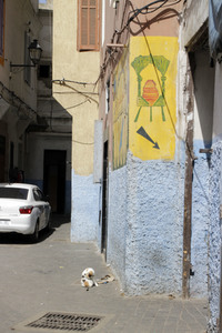 Sightseeing Casablanca