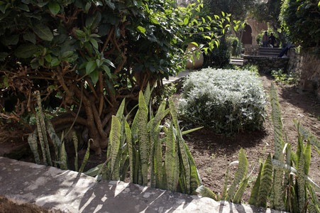 Sightseeing Rabat