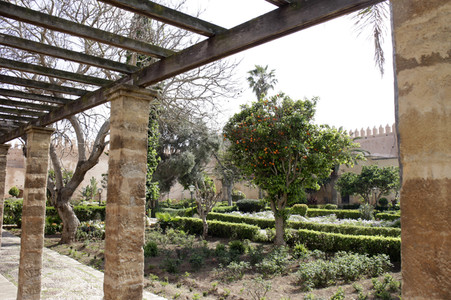Sightseeing Rabat