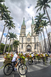 Flower Messenger in Sao Paulo