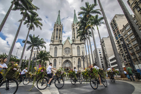 Flower Messenger in Sao Paulo