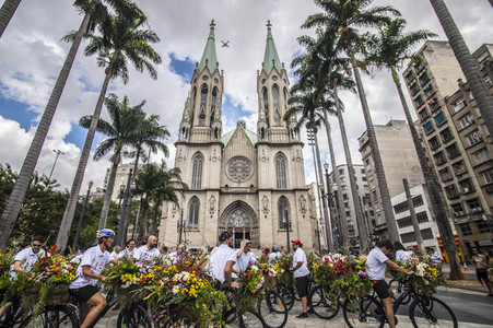 Flower Messenger in Sao Paulo