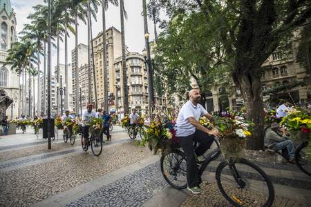 Flower Messenger in Sao Paulo