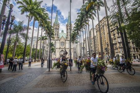 Flower Messenger in Sao Paulo