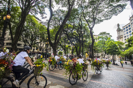 Flower Messenger in Sao Paulo