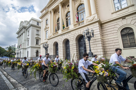 Flower Messenger in Sao Paulo