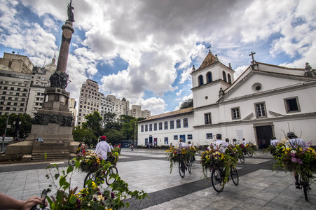 Flower Messenger in Sao Paulo
