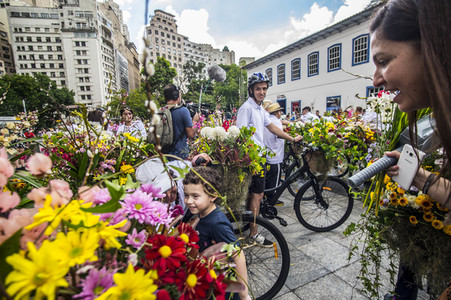 Flower Messenger in Sao Paulo