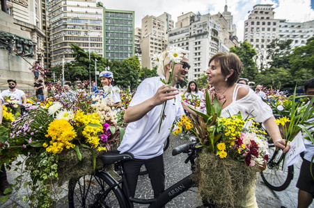 Flower Messenger in Sao Paulo