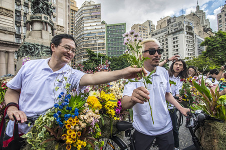 Flower Messenger in Sao Paulo
