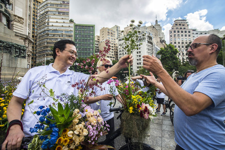 Flower Messenger in Sao Paulo