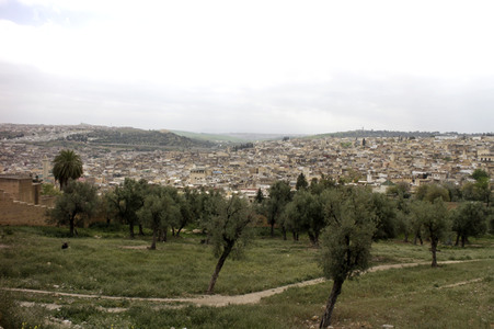 Sightseeing Fez