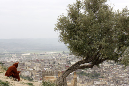 Sightseeing Fez
