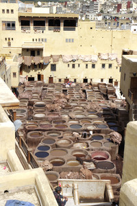 Sightseeing Fez