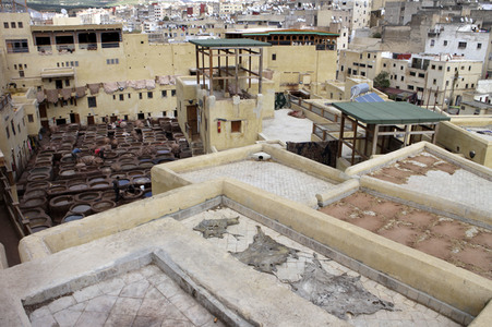 Sightseeing Fez