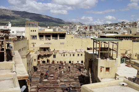 Sightseeing Fez