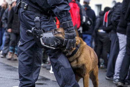 Linke und rechte Demonstrationen in Köln
