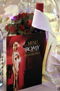 Romy 2017 Akademiepreisverleihung in Wien