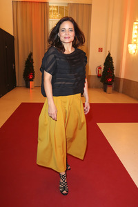 Romy Gala 2017 in Wien