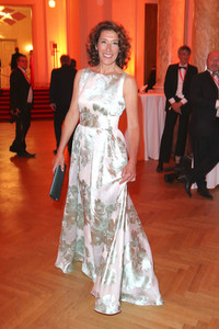 Romy Gala 2017 in Wien