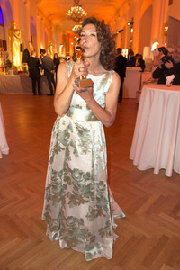 28. Romy Gala 2017 in Wien
