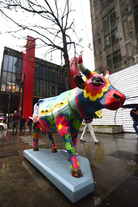 Cow Parade in Sao Paulo
