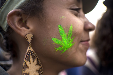 Hanf-Parade in Sao Paulo