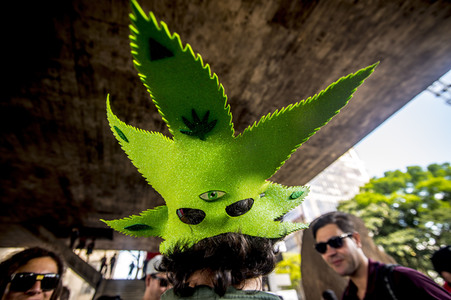 Hanf-Parade in Sao Paulo