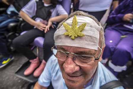 Hanf-Parade in Sao Paulo