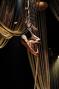 Cirque Bouffon in Köln