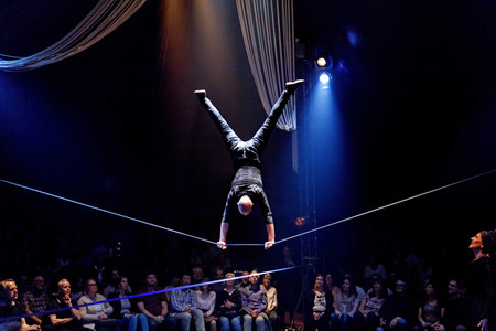 Cirque Bouffon in Köln