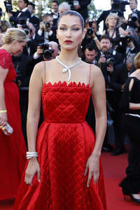 'Okja' Premiere, Cannes Film Festival 2017