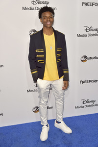 ABC/Disney Programmpräsentation 2017 in Burbank
