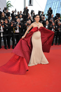 'The Meyerowitz Stories' Premiere, Cannes Film Festival 2017