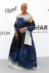 amfAR's Cinema Against Aids Gala, Cannes Film Festival 2017