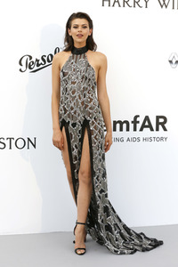 amfAR's Cinema Against Aids Gala, Cannes Film Festival 2017