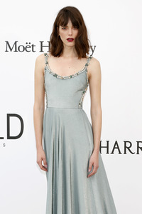 amfAR's Cinema Against Aids Gala, Cannes Film Festival 2017