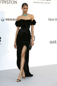 amfAR's Cinema Against Aids Gala, Cannes Film Festival 2017