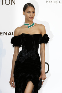 amfAR's Cinema Against Aids Gala, Cannes Film Festival 2017