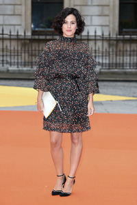 Royal Acadamy of Arts Summer Exhibition Preview Party 2017 in London