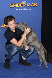 Photocall zu 'Spider-Man: Homecoming' in London