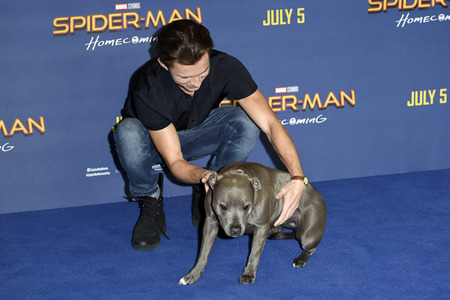 Photocall zu 'Spider-Man: Homecoming' in London