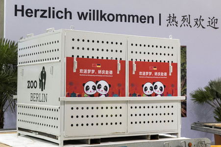 Ankunft der Pandabären Meng Meng und Jiao Qing in Berlin