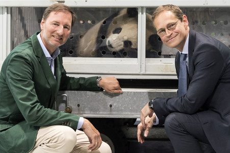 Ankunft der Pandabären Meng Meng und Jiao Qing in Berlin