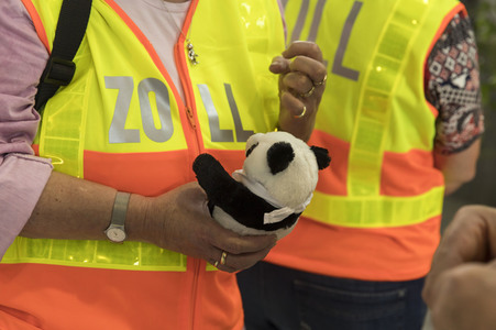 Ankunft der Pandabären Meng Meng und Jiao Qing in Berlin
