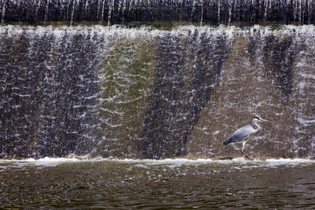 Symbolfoto Trinkwasser